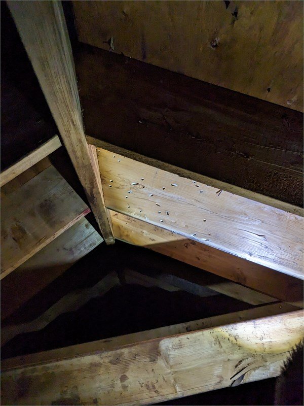 现场验房照片：房屋结构和设备状况记录